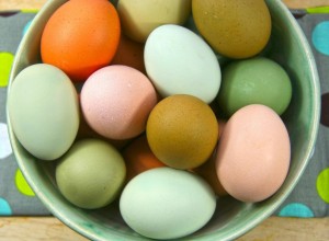 heritage-breeds-lay-naturally-hued-eggs